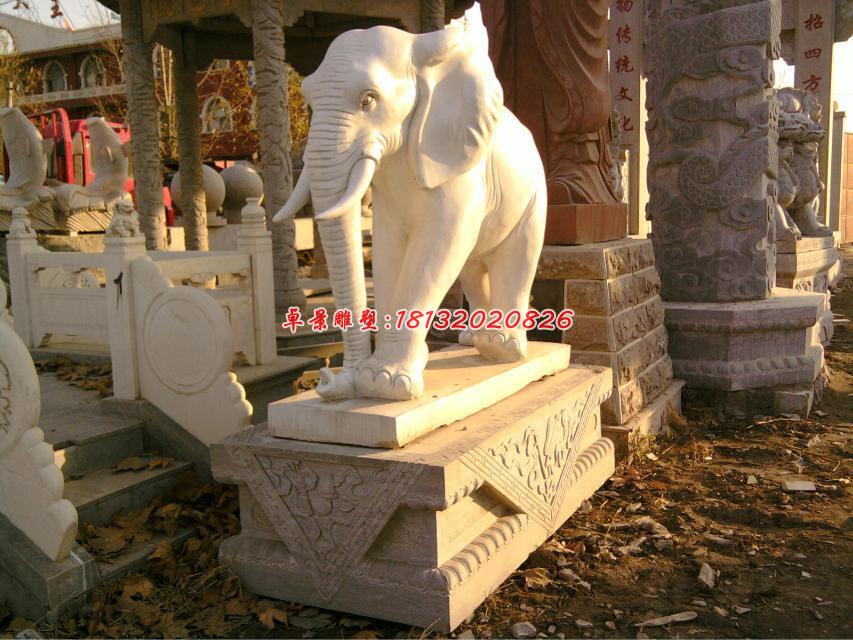大象石雕,漢白玉動物石雕 (1)