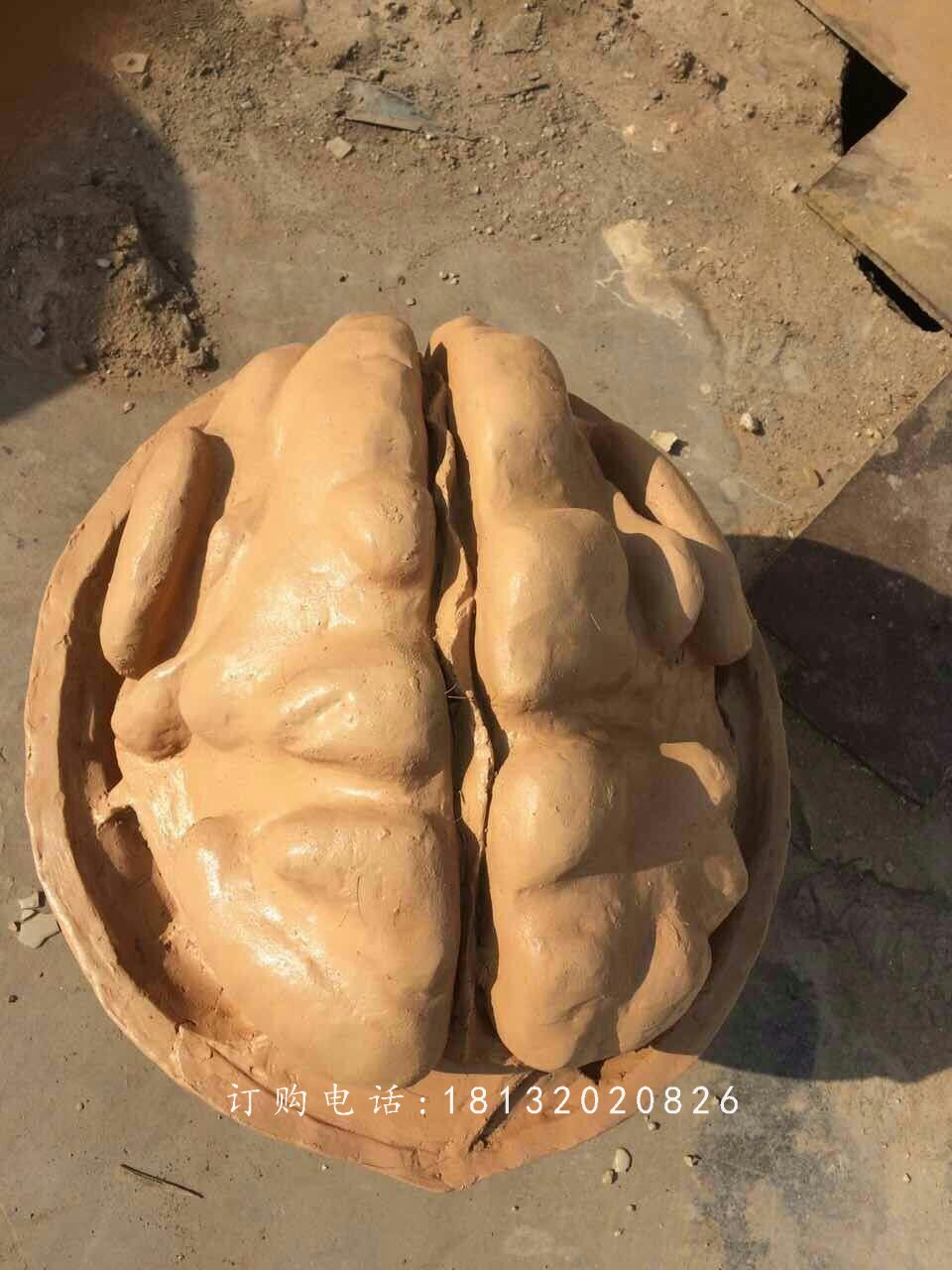 核桃雕塑,仿真玻璃鋼雕塑 (2)