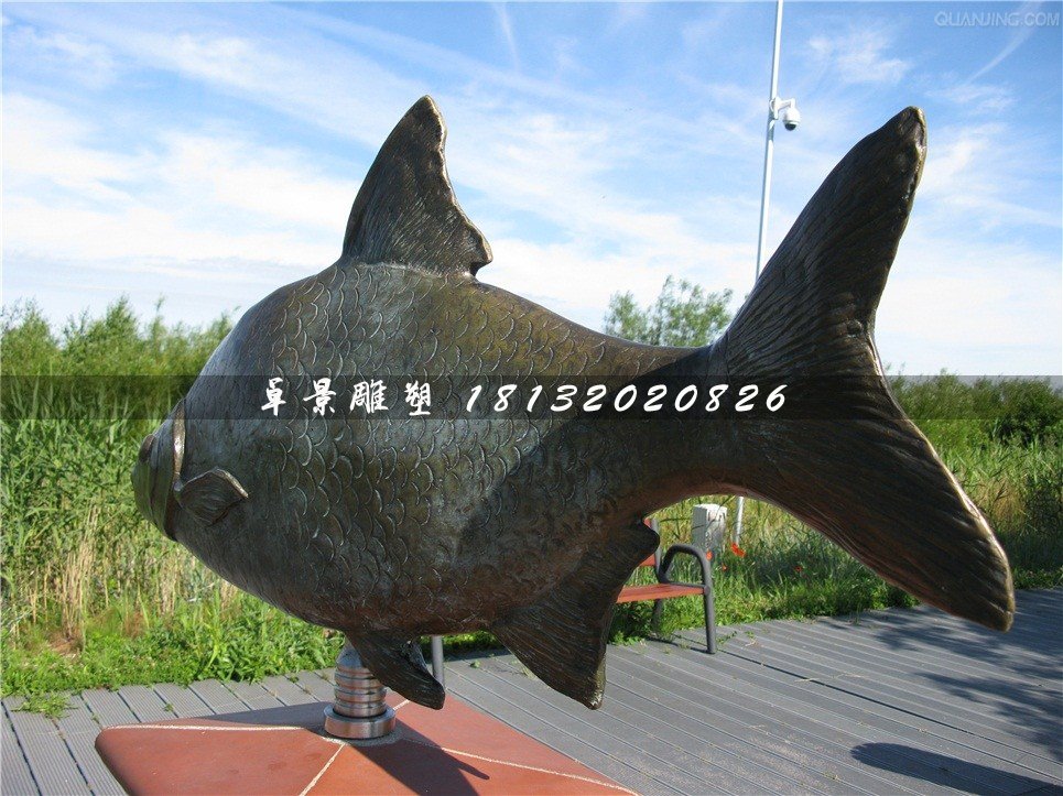 銅雕魚,廣場動物銅雕