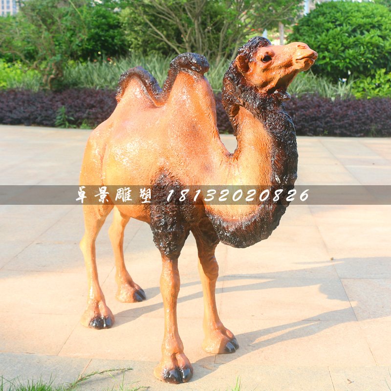 駱駝雕塑,動物玻璃鋼動物 (3)