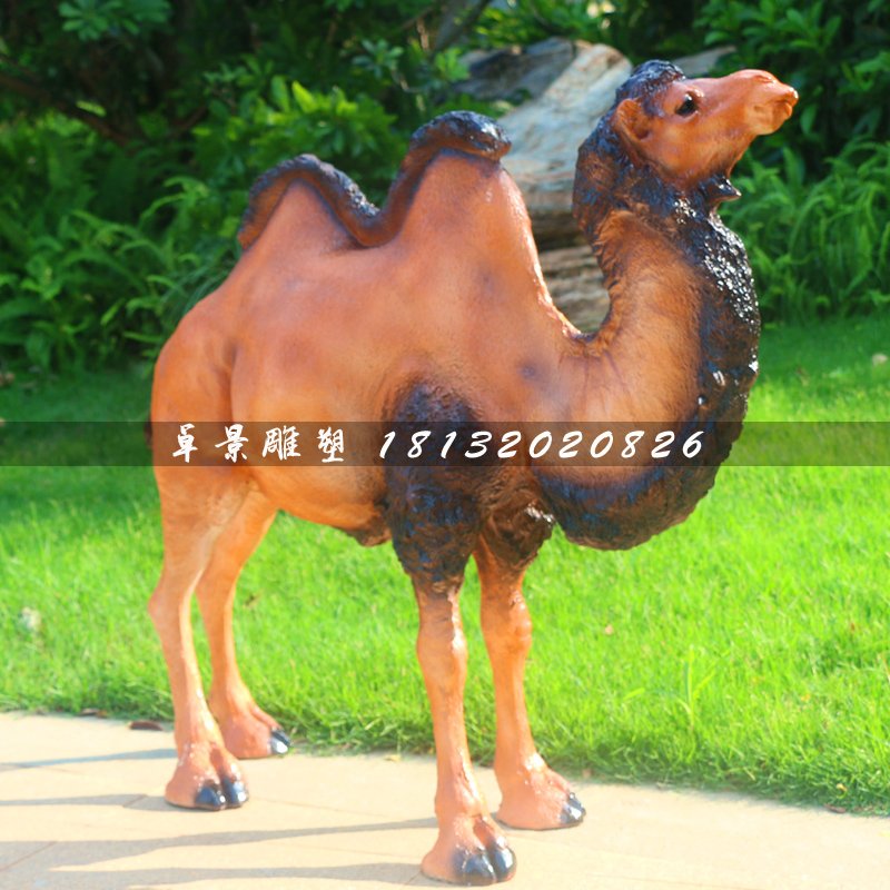 駱駝雕塑,動物玻璃鋼動物 (4)