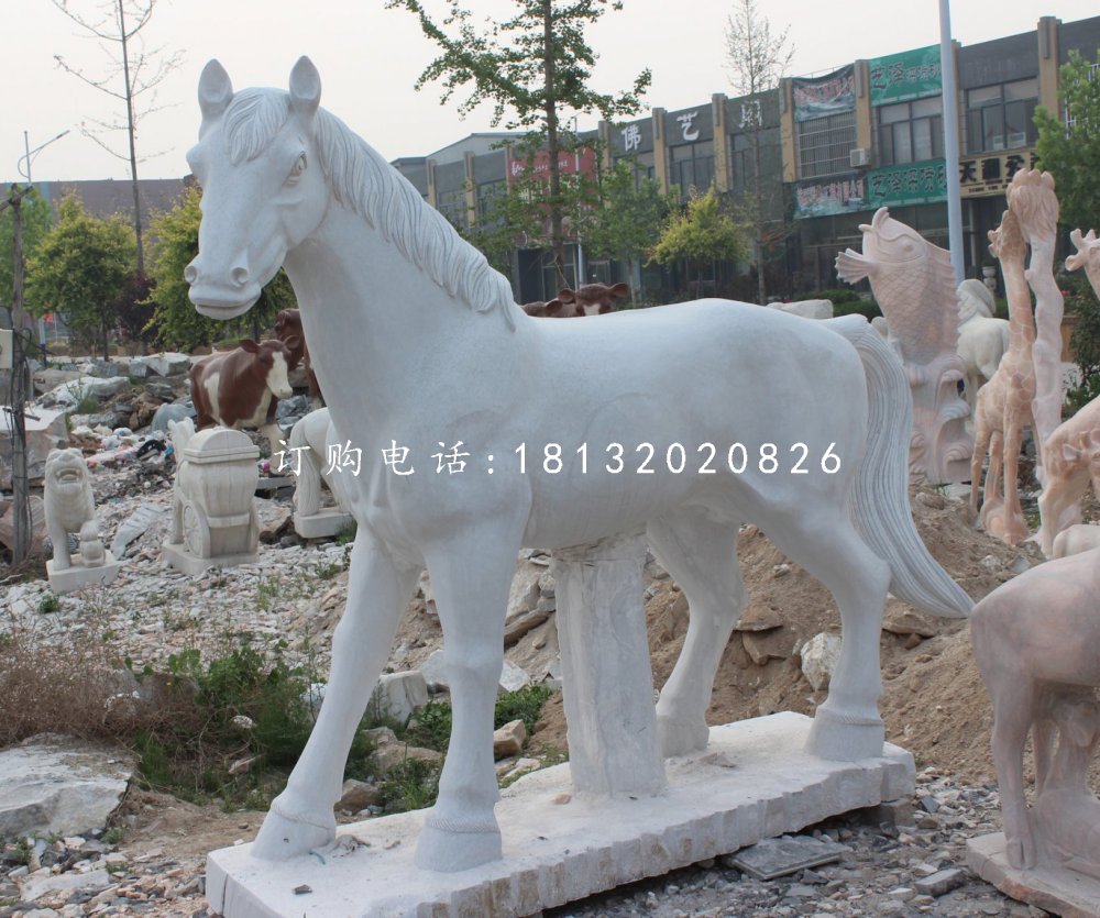 小馬駒石雕,漢白玉小馬駒石雕 (1)